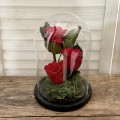 Αποχυμωμενα τριανταφυλλα - 3 κόκκινα τριαντάφυλλα σε γυάλα ΑΓΑΠΗ