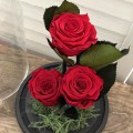 3 κόκκινα τριαντάφυλλα σε γυάλα