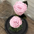 2 ροζ τριαντάφυλλα σε γυάλα