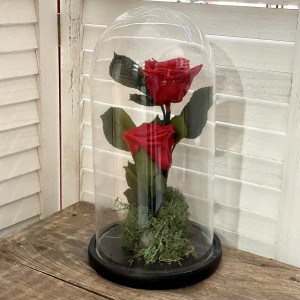 Αποχυμωμενα τριανταφυλλα - 2 κόκκινα τριαντάφυλλα σε γυάλα ΑΓΑΠΗ